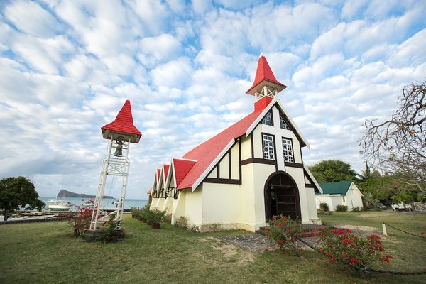 Comment reconnaître un chat de race Munchkin malheureux?